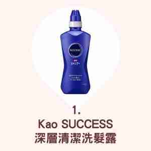 Kao SUCCESS 深層清潔洗髮露