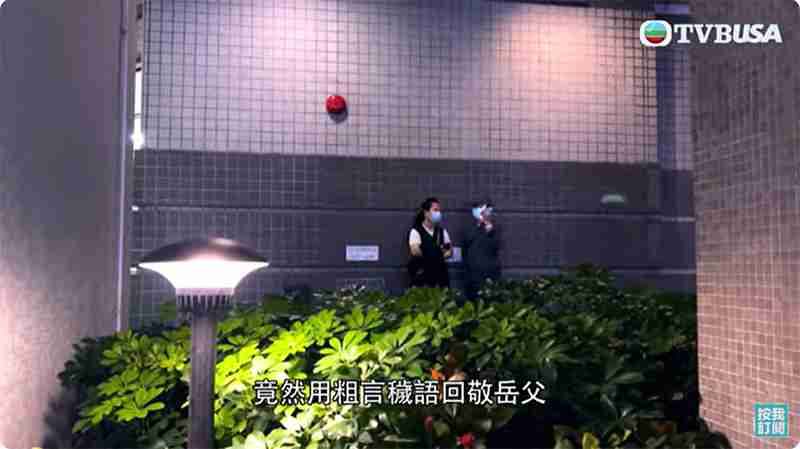東張西望何伯