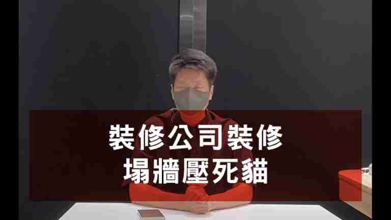 品味空間壓死貓
