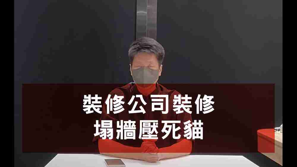 品味空間壓死貓