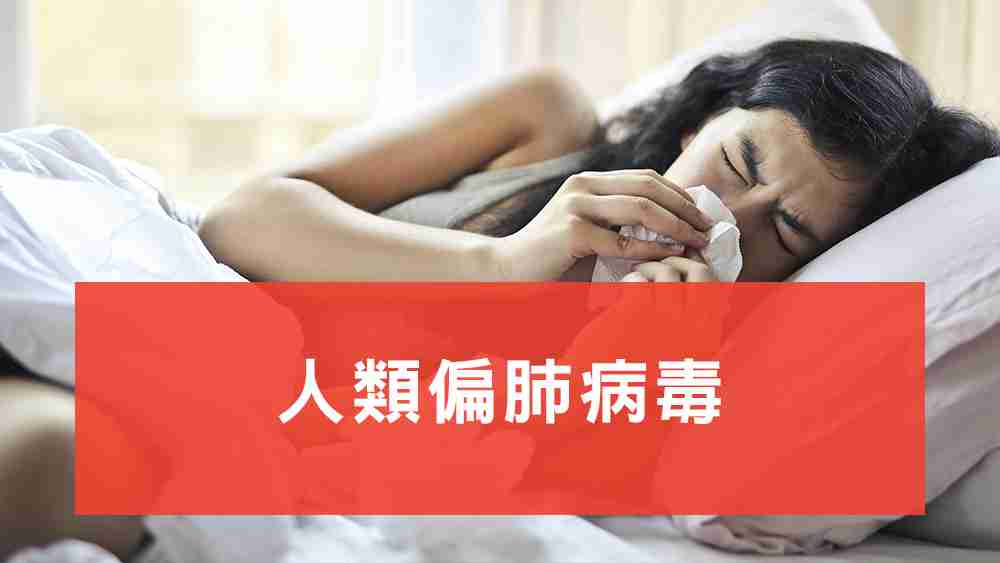 人類偏肺病毒