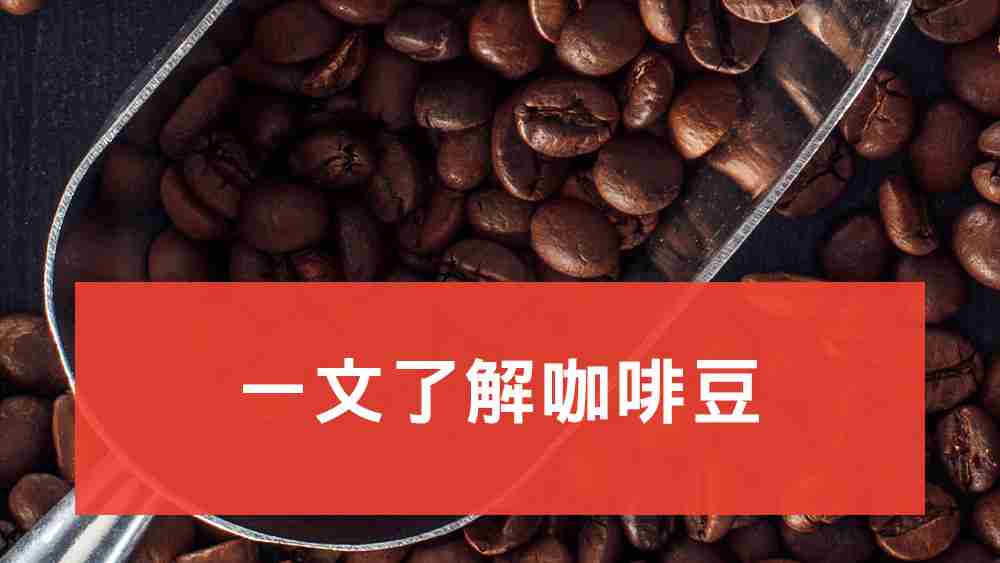 咖啡豆