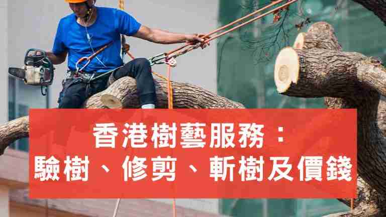 香港樹藝服務