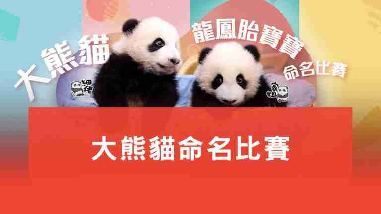大熊貓命名比賽
