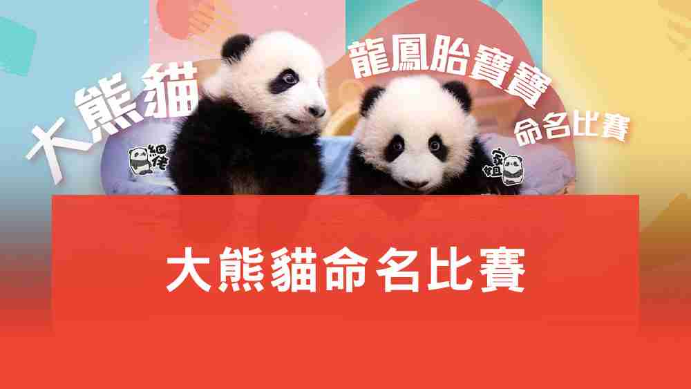 大熊貓命名比賽