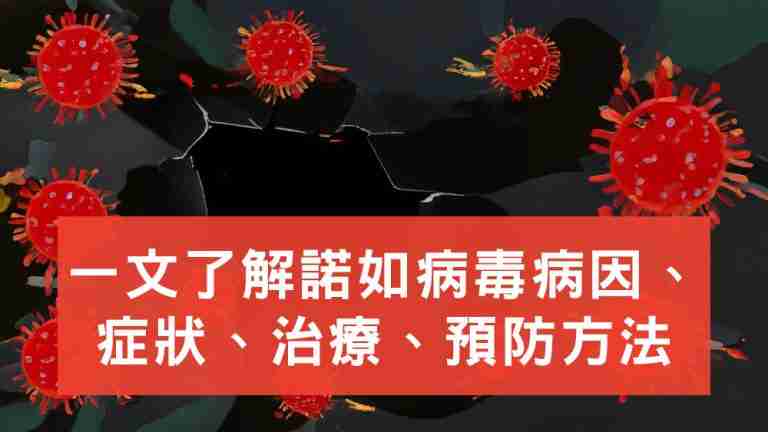 諾如病毒