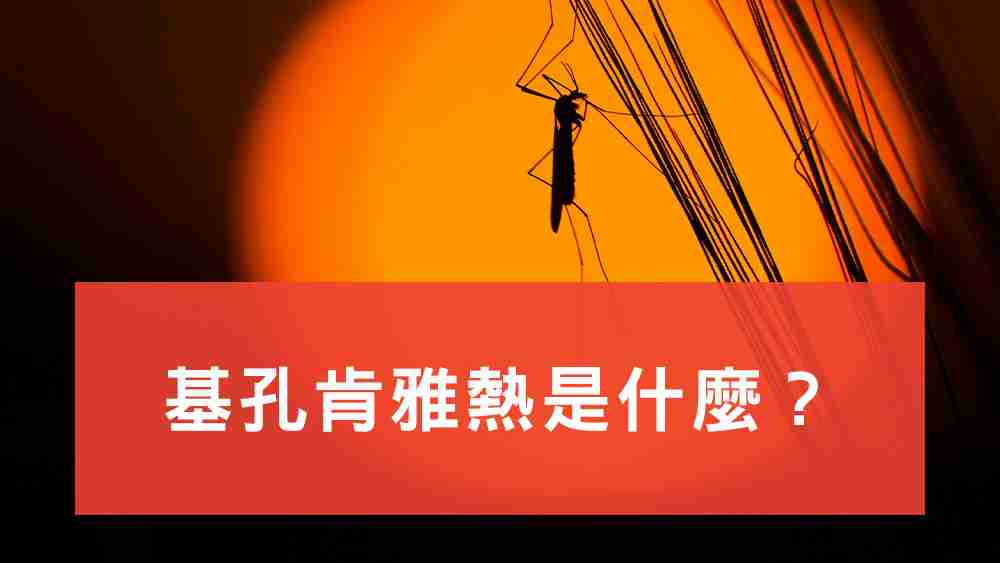 基孔肯雅熱