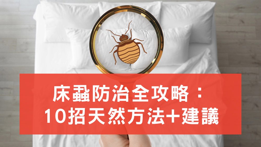 床蝨防治
