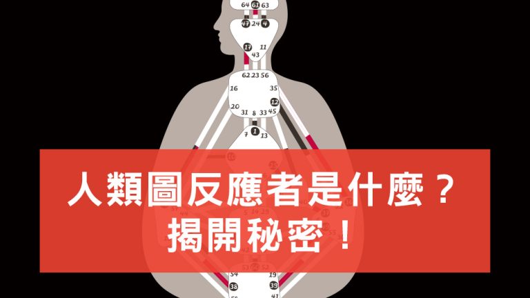 人類圖反應者