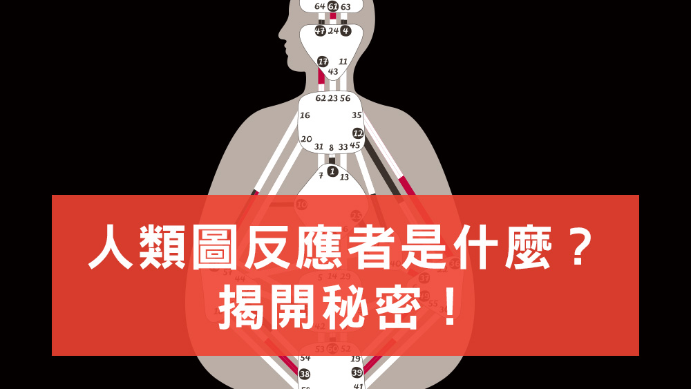 人類圖反應者