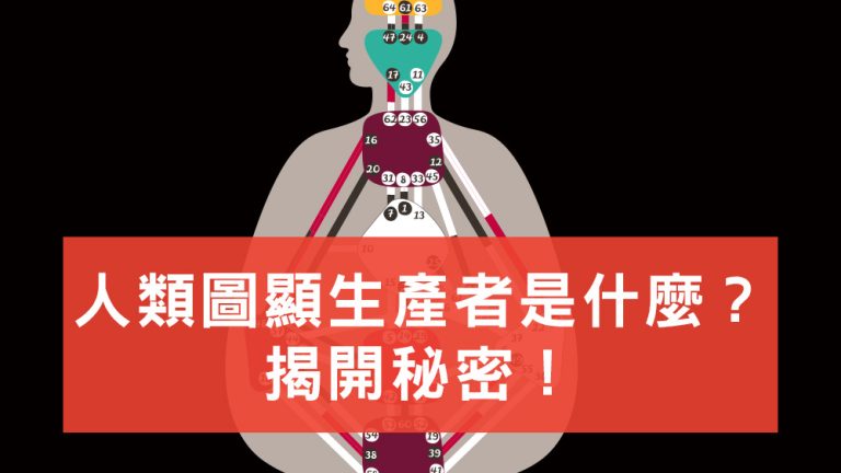 人類圖顯生產者