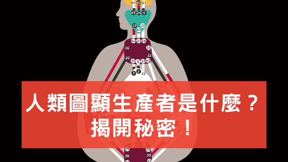人類圖顯生產者