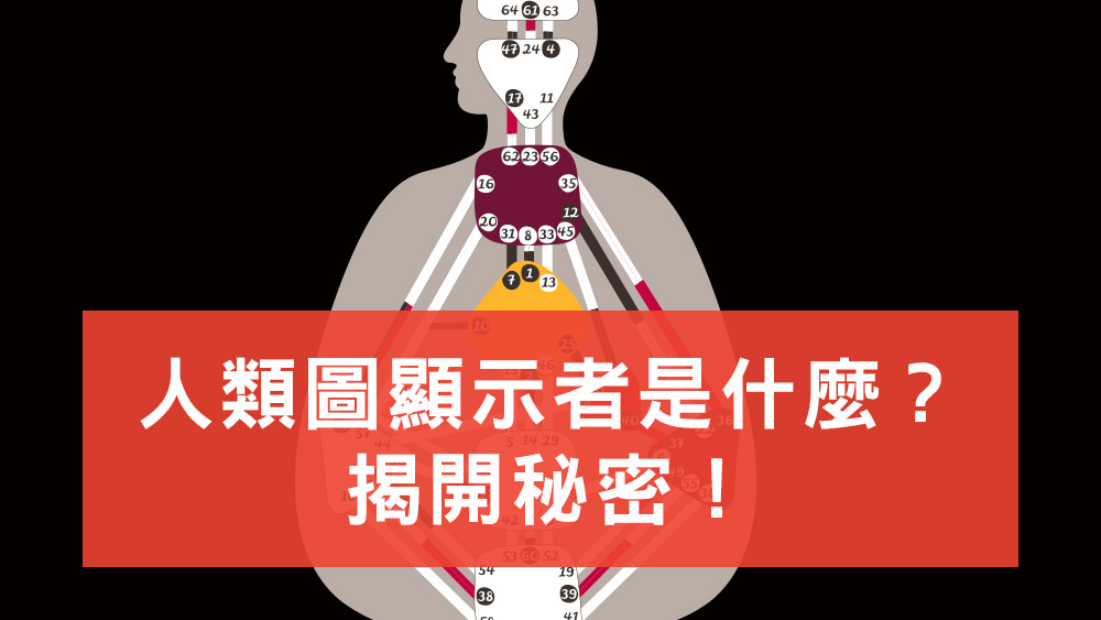 人類圖顯示者