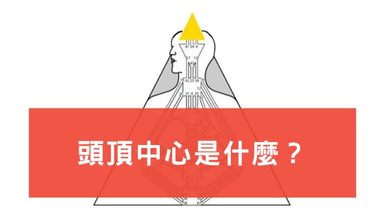 頭頂中心