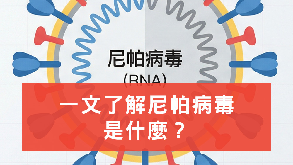 尼帕病毒