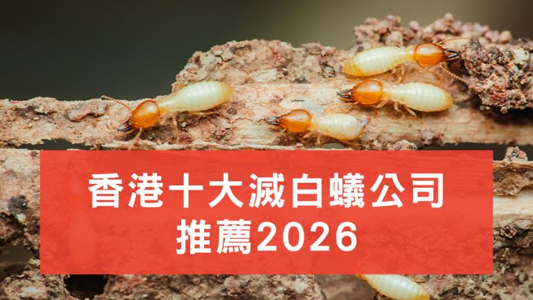 滅白蟻公司推薦