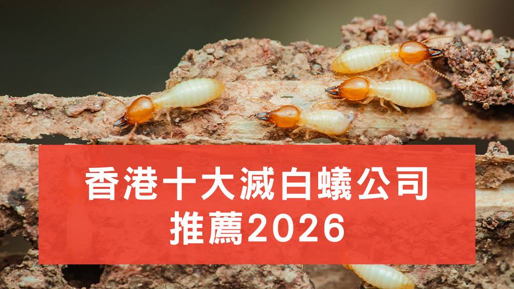 滅白蟻公司推薦