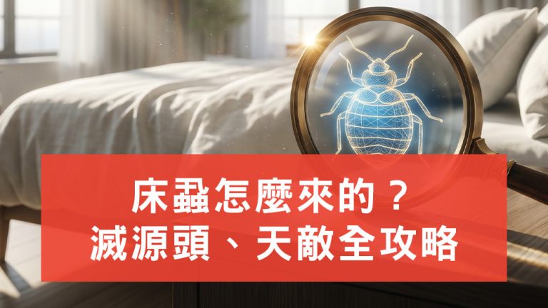 床蝨怎麼來的