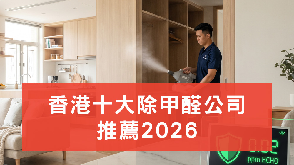 除甲醛公司推薦